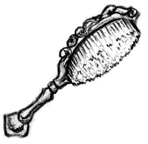 tools-hairbrush-ivory